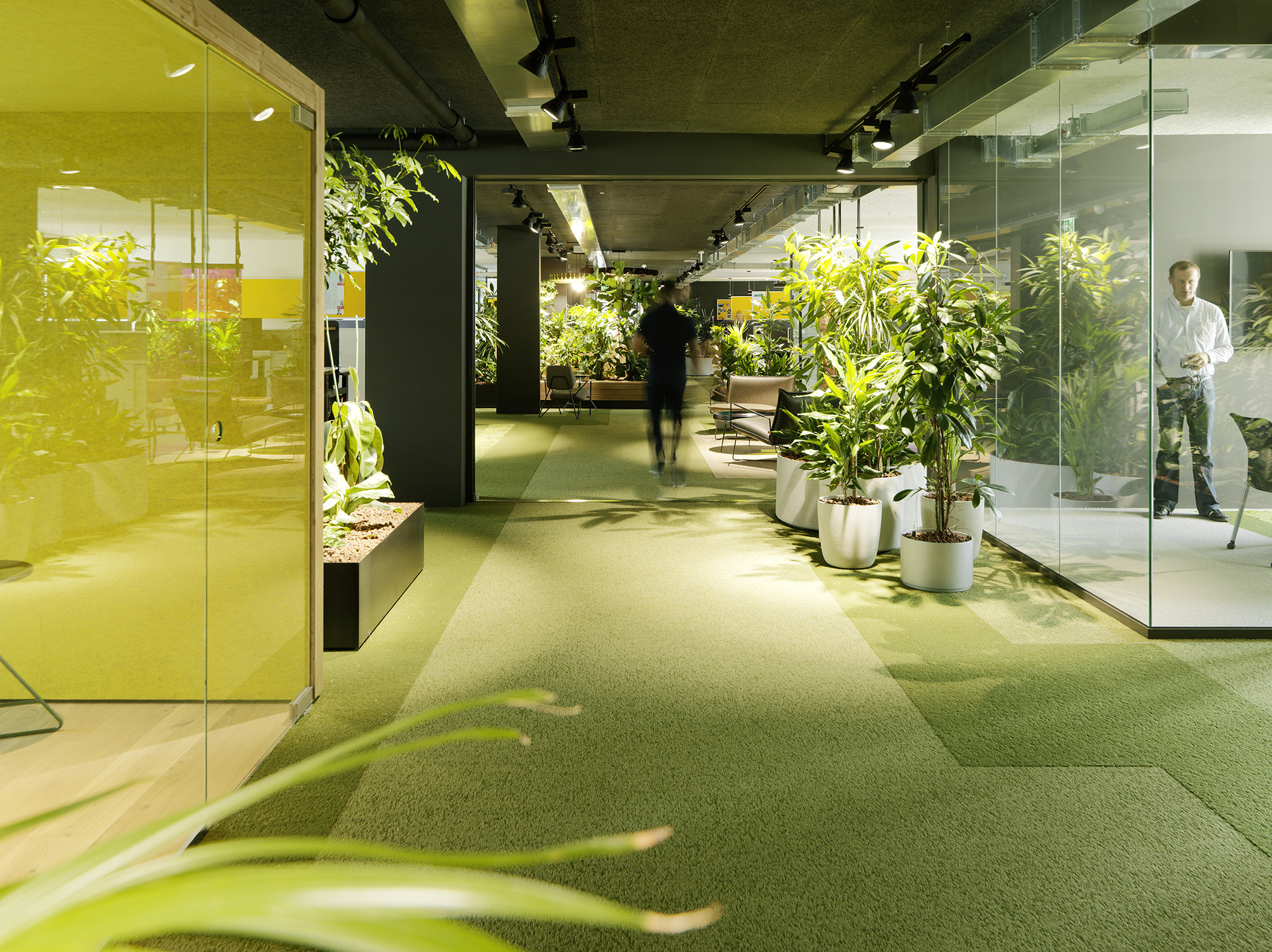 SAPエスタライヒ支社のオフィス - オーストリア, ウィーンの廊下