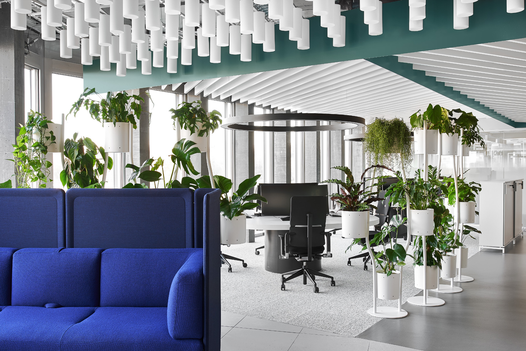【某製薬会社のオフィスデザイン】- スイス, チューリッヒのワークペース