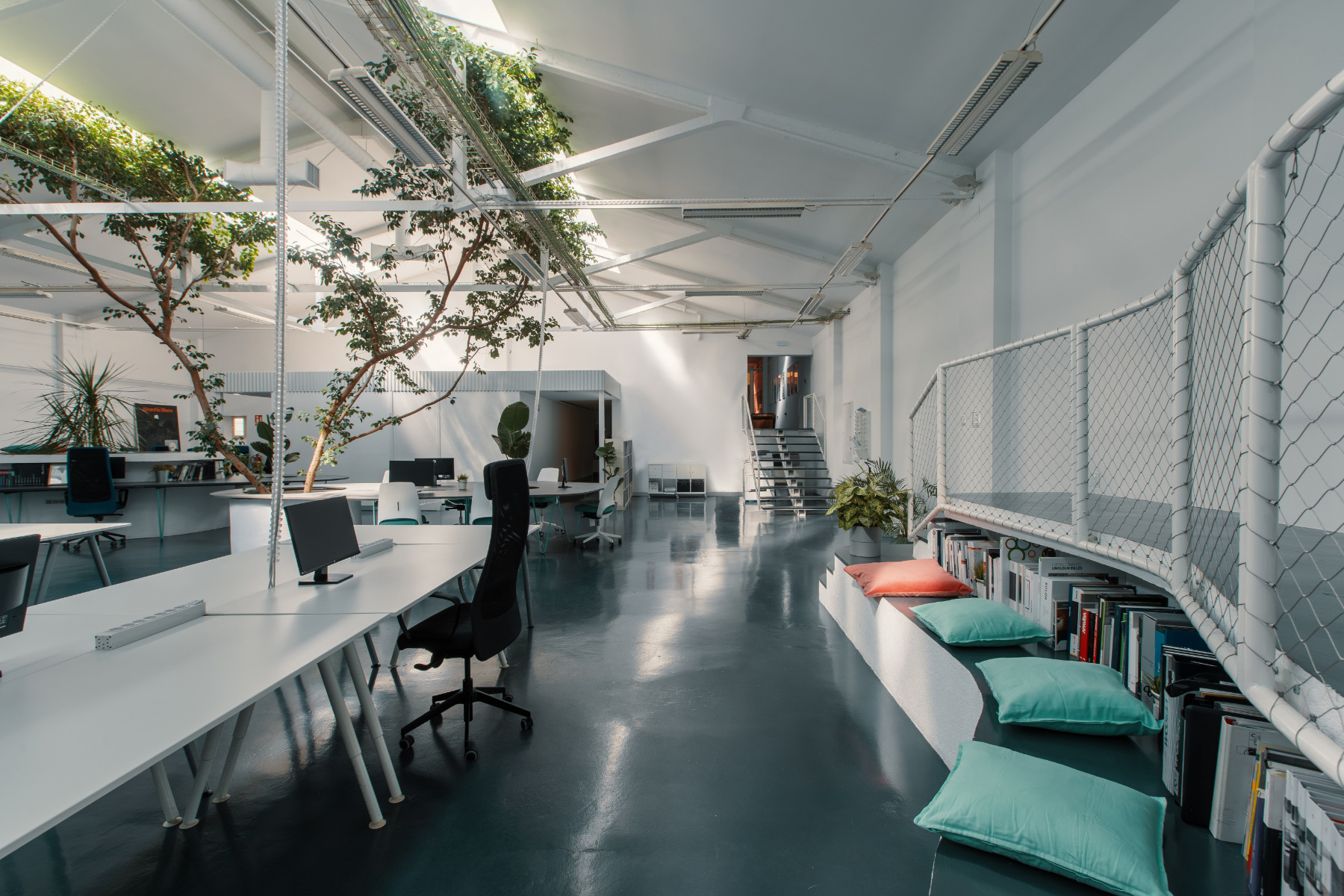 【Ficusのオフィスデザイン】- スペイン, マドリッドのワークスペース