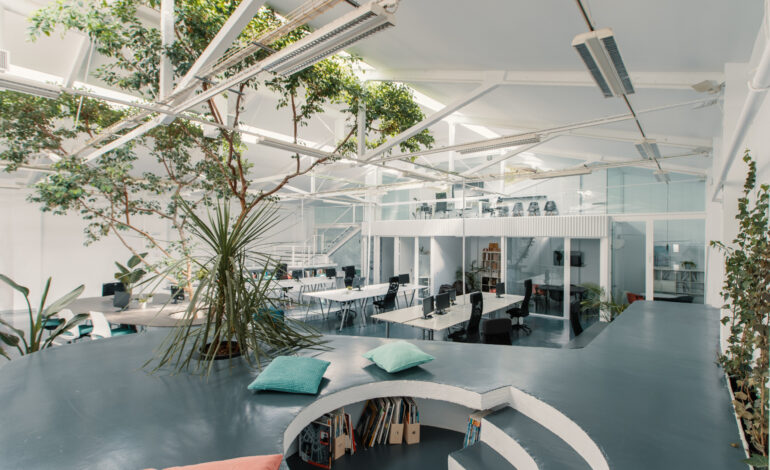 【Ficusのオフィスデザイン】- スペイン, マドリッドのオープンスペース